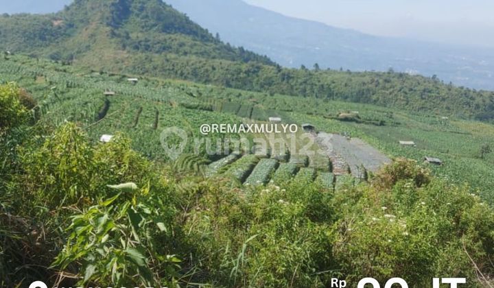 For Sale Cheap! Wonosobo Industrial and Tourism Land For Sale Cheap! Wonosobo Industrial and Tourism Land