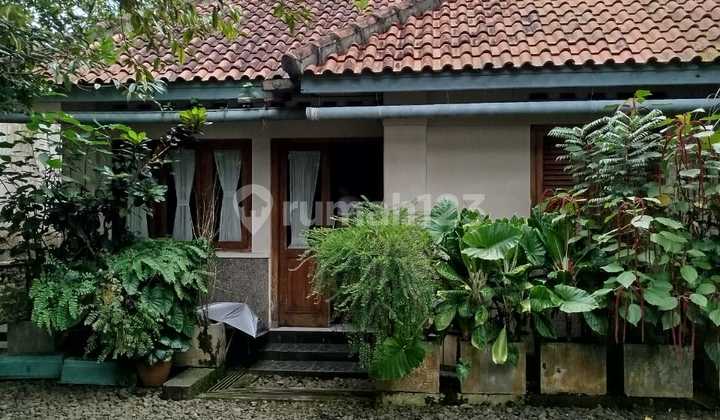 Dijual Rumah Desain Kolonial Tropis dengan Halaman Luas, Full Furnished dan Asri Wilayah Kota Purwokerto Dijual Rumah Desain Kolonial Tropis dengan Halaman Luas, Full Furnished dan Asri Wilayah Kota Purwokerto