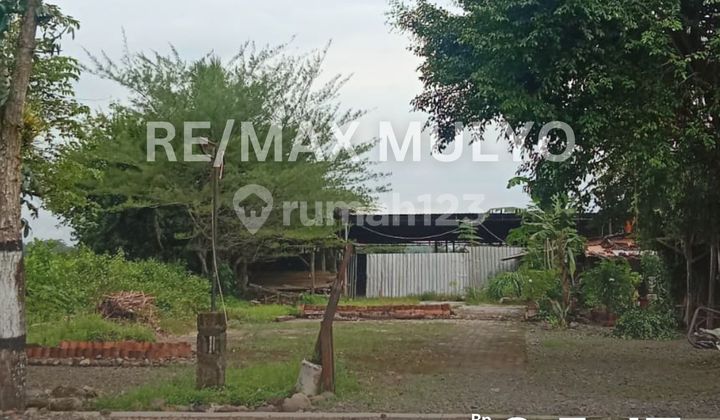 Tanah Seluas 1480 m2 Dijual Tepi Jalan Utama Kota Purwokerto Tanah Seluas 1480 m2 Dijual Tepi Jalan Utama Kota Purwokerto