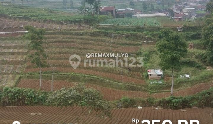 For Sale: 1,500m2 Tourist Area Land in Wonosobo For Sale: 1,500m2 Tourist Area Land in Wonosobo