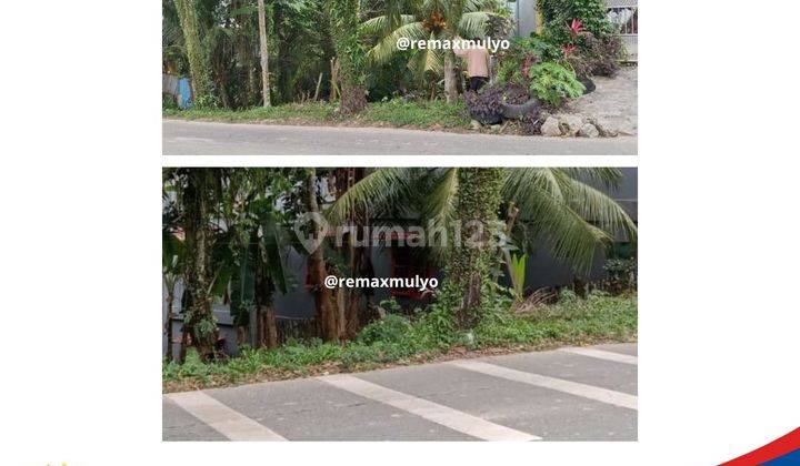 Hot Dijual Tanah Di Tepi Jalan Utama Dekat Ikn 1