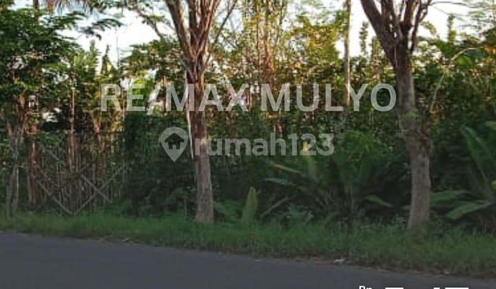 Land for Sale 4,030 m2 Near Bus Terminal and Main Road Area Purwokerto Land for Sale 4,030 m2 Near Bus Terminal and Main Road Area Purwokerto