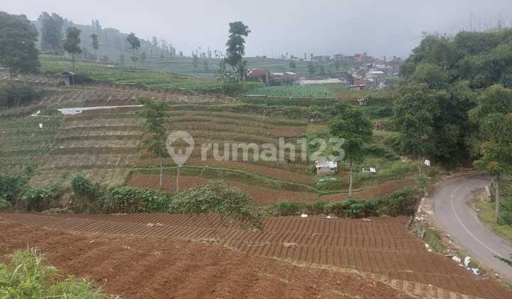 For Sale: 1,500m2 Tourist Area Land in Wonosobo For Sale: 1,500m2 Tourist Area Land in Wonosobo