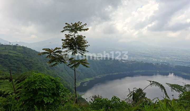 For Sale Land with Mountain and Lake View in Wonosobo Area For Sale Land with Mountain and Lake View in Wonosobo Area