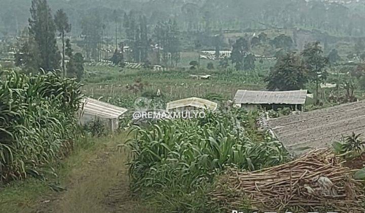 Dijual Tanah Luas Area Wisata dan Industri Wonosobo 1