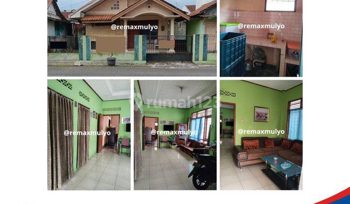 Dijual Rumah Dan Kos Kosan Cocok Untuk Bisnis  1