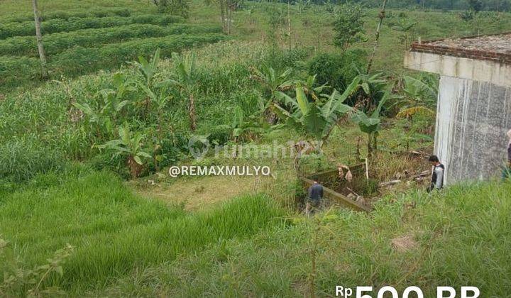 Dijual Tanah Pekarangan Seluas 500 m2 Dekat Lokawisata 1