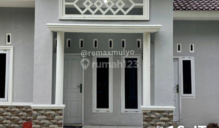 Disewakan Cepat Rumah Murah Siap Huni Area Purwokerto 1
