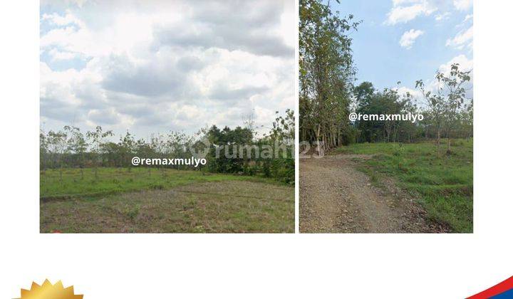 Dijual Lahan Di Kawasan Industri 7.000 m² 1