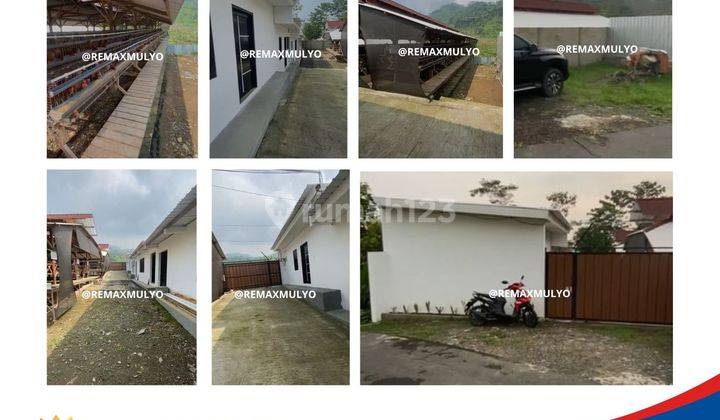 Dijual Tanah Ruang Usaha Ayam Siap Pakai 1