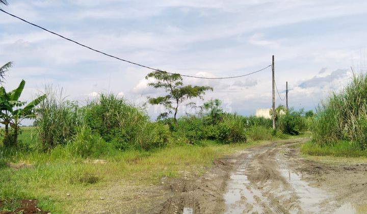 Dijual Tanah 30 Ha Cocok Lahan Untuk Industri 2