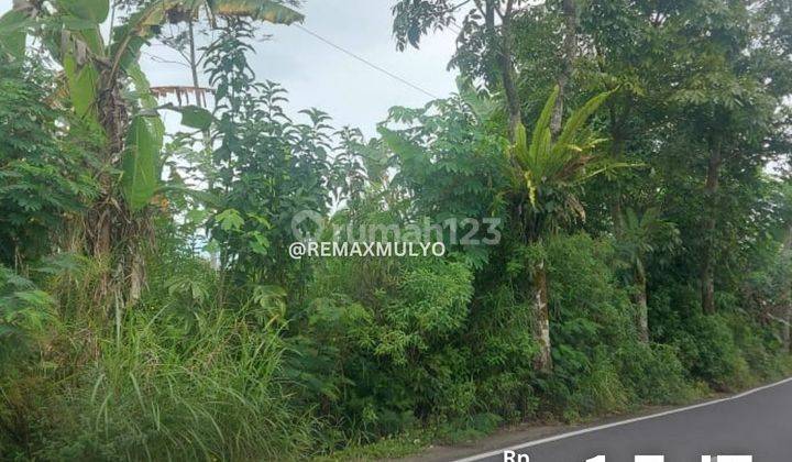 Dijual Tanah Seluas 2.775 Akses Jalan Mudah Area Wonosobo 1