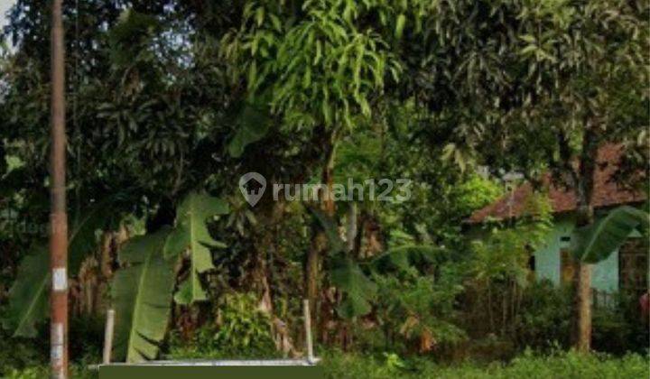 Dijual Tanah Tepi Jalan Raya di Sokaraja 1