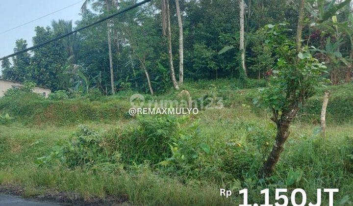 Dijual Tanah Dekat Jalur Provinsi Area Wonosobo 1