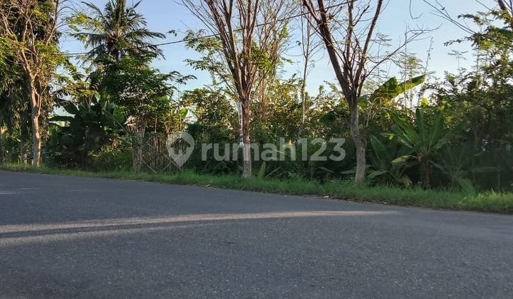 Land for Sale 4,030 m2 Near Bus Terminal and Main Road Area Purwokerto Land for Sale 4,030 m2 Near Bus Terminal and Main Road Area Purwokerto