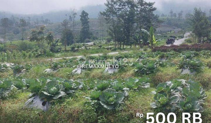 Dijual Tanah di Wonosobo Dekat dengan Area Wisata 1