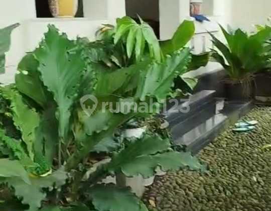 For Sale: Tropical Colonial Design House with Spacious Yard, Fully Furnished and Serene Area in Purwokerto City. 2