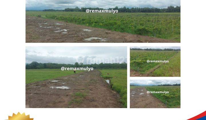 Dijual Tanah Cocok Untuk Tempat Industri Seluas 1.5 Ha 1