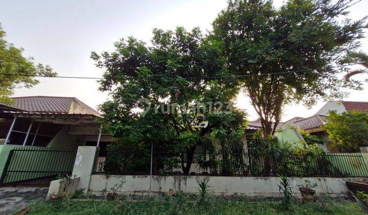 Rumah Asri di Komplek Billymoon Duren Sawit Jakarta Timur 1