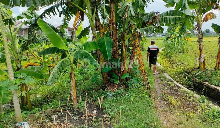 Tanah pekarangan siap bangun boyolali 2