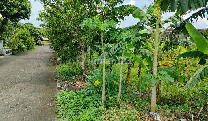 Tanah pekarangan siap bangun boyolali 1