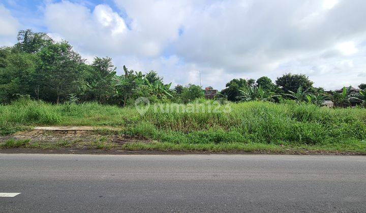 Tanah pekarangan strategis di Jl tegalgondo -janti wonosari klate  1