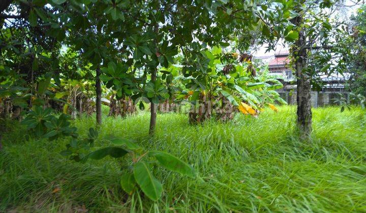 Pabrik di bekasi utara di belakang summarecon bekasi, Bekasi Utara SHM - Sertifikat Hak Milik 6