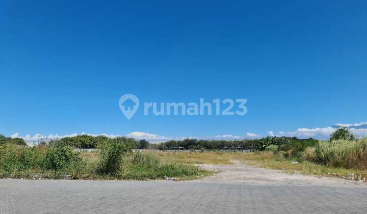 Jual Cepat! BU! KAVLING PERGUDANGAN SIRIE – LINGKAR TIMUR SIDOARJO Jual Cepat! BU! KAVLING PERGUDANGAN SIRIE – LINGKAR TIMUR SIDOARJO