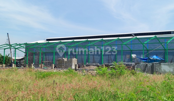 Strategic Sidoarjo Warehouse Size 1870 - 2 Minutes from Gempol Toll Exit and Sby - Mlng Toll Entry.