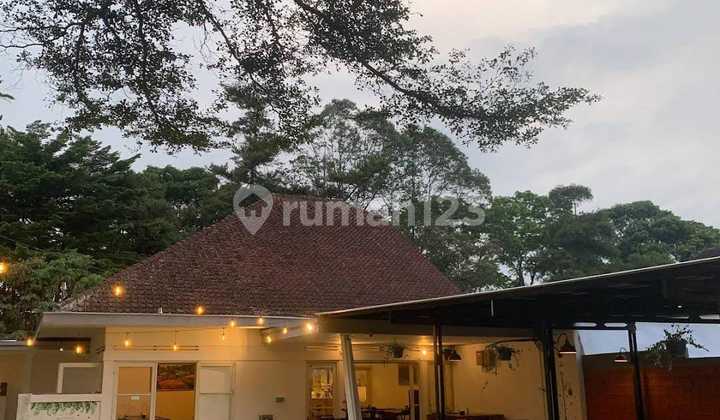 DILELANG Rumah Bagus nyaman Unfurnish SHM Jl Hegarmanah, Bandung DILELANG Rumah Bagus nyaman Unfurnish SHM Jl Hegarmanah, Bandung