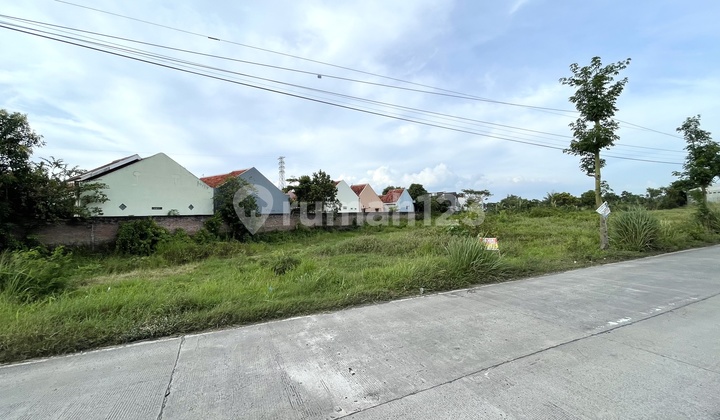 Tanah Delanggu Klaten Dijual Cocok untuk Gudang Akses Kontainer Tanah Delanggu Klaten Dijual Cocok untuk Gudang Akses Kontainer