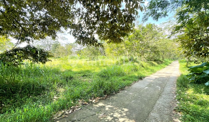 Cheap Land for Sale in Boyolali Near Boyolali General Hospital Cheap Land for Sale in Boyolali Near Boyolali General Hospital