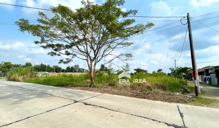 Tanah Akses Kontainer Cocok untuk Gudang Delanggu Klaten Tanah Akses Kontainer Cocok untuk Gudang Delanggu Klaten