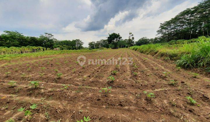 Tanah industri dijual Boyolali lokasi Boyolali Solo 2