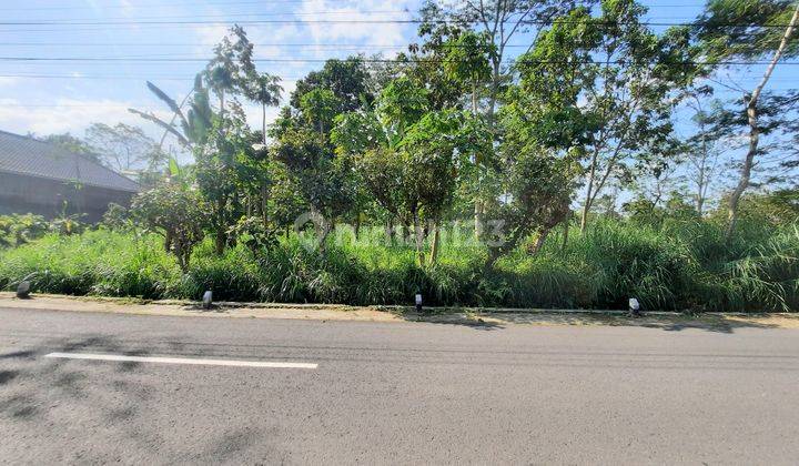 Tanah murah lokasi winong Boyolali surakarta 2