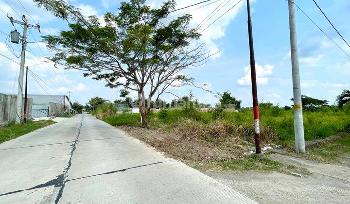 Tanah Industri Dekat Pintu Tol Klaten Lokasi Di Delanggu Klaten 1