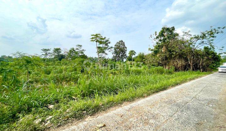 Tanah Dijual Murah Di Teras Boyolali Solo 2