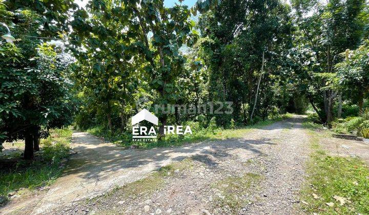 Dijual Tanah Murah Cocok Untuk Perumahan Lokasi Sambi Boyolali  1