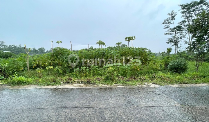 Boyolali Land for Sale Near So Good Factory Boyolali Land for Sale Near So Good Factory