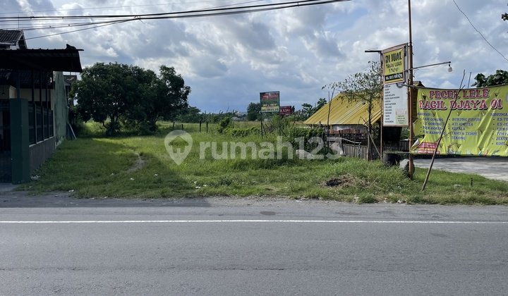 Tanah Pekarangan Klaten Jalan Solo Jogja Siap Bangun Tanah Pekarangan Klaten Jalan Solo Jogja Siap Bangun