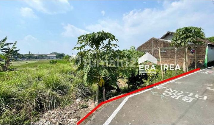 Tanah murah dekat pabrik dan tol Banyudono Boyolali 