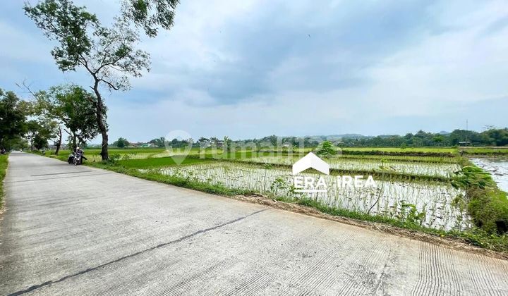 Strategic land near Simo Boyolali market Strategic land near Simo Boyolali market