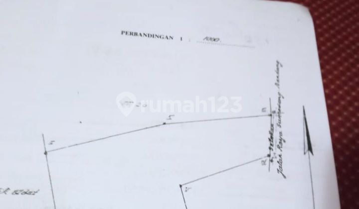 FOR SALE (Price Reduced) Prime Land on Mainroad Jatinangor FOR SALE (Price Reduced) Prime Land on Mainroad Jatinangor