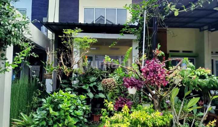 Rumah Minimalis Murah Tengah Kota Semarang Siap Pakai Dekat Ungaran Dekat Gunungpati Dekat Pintu Tol Banyumanik Dijual Di Perumahan Cluster Pudak Payung Banyumanik Semarang Selatan 2