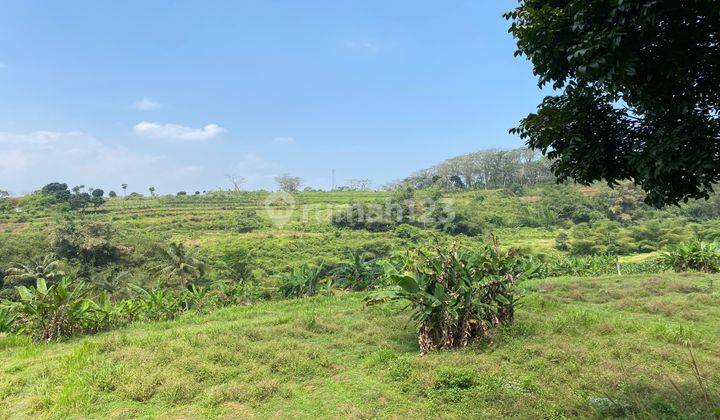 dijual tanah cijeruk palasari murah best view pinggir jalan 1