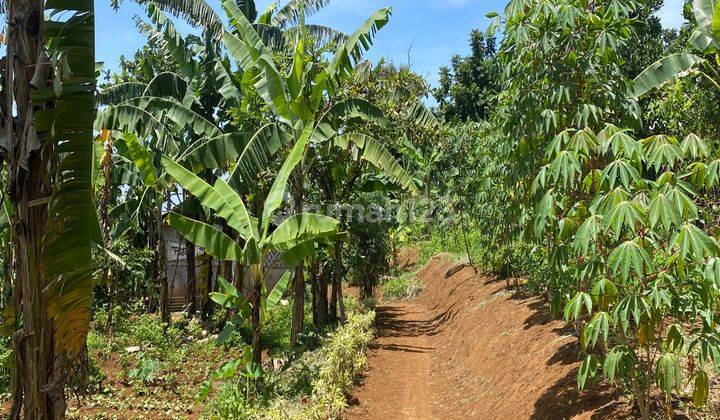 Dijual Tanah Cigombong 5km Dari Tol Best View Gunung Dan Kota 2