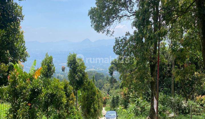 Tanah Cijeruk Shm Murah Best View Gunung Pangrango Dan Salak 1