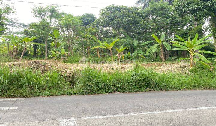 Dijual Tanah Murah Di Cigombong Pinggir Jalan Utama Best View 2