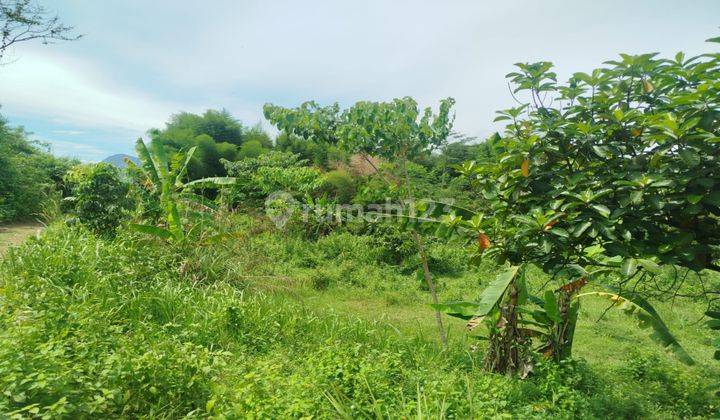 Dijual Tanah Sukamakmur Shm Best Lokasi View Oerbukitan Dan Kota 2