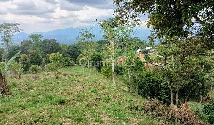 Dijual tanah murah di bogor cijeruk tanah cijeruk best view 1